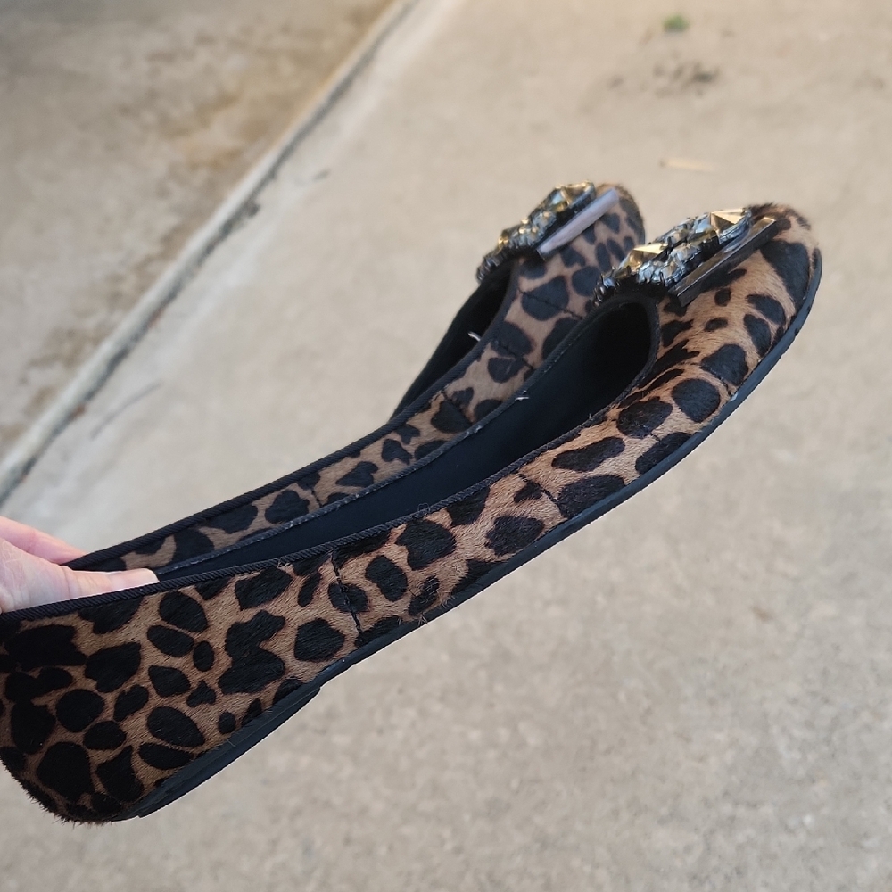 Sam Edelman Leopard-Print Crystal Toe Ballet Flats - Brown/Black - Picture 14 of 16
